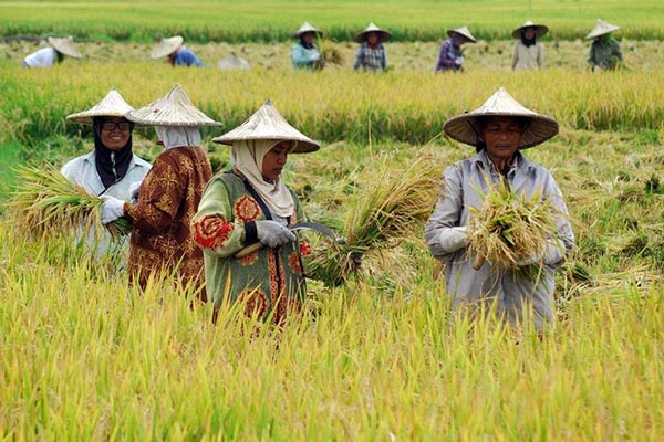Kesejahteraan Masyarakat Jurnal